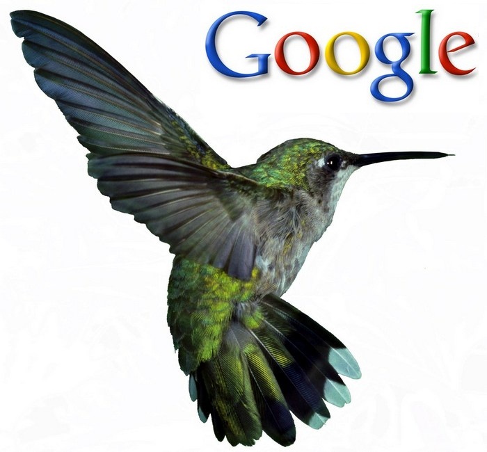 hummingbird algorithm google hummingbird algorithm google