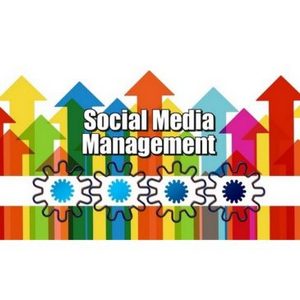 Social Media Management - Who Are The Big Players