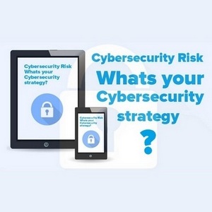 Cybersecurity Risk - What's your Cybersecurity strategy? 
