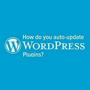 How do you auto-update WordPress plugins?