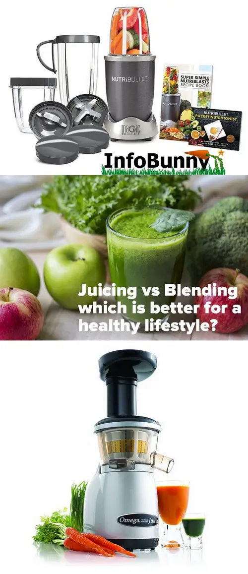 Juicers vs Blenders