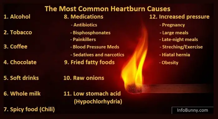 What Causes Everyday Heartburn - Common causes
