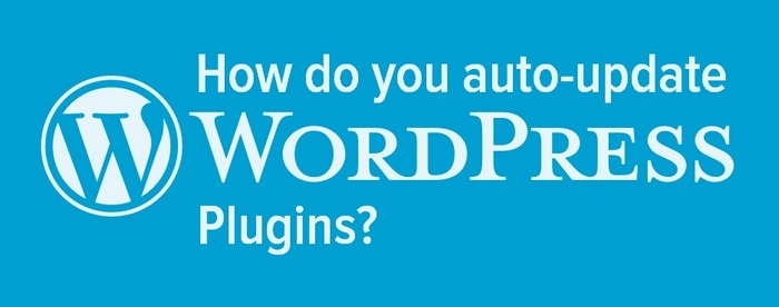 header for how do you auto-update WordPress plugins